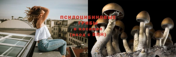 хмурый Алзамай
