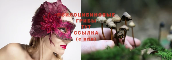 прущая мука Арсеньев