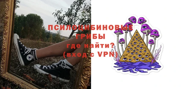 прущая мука Арсеньев
