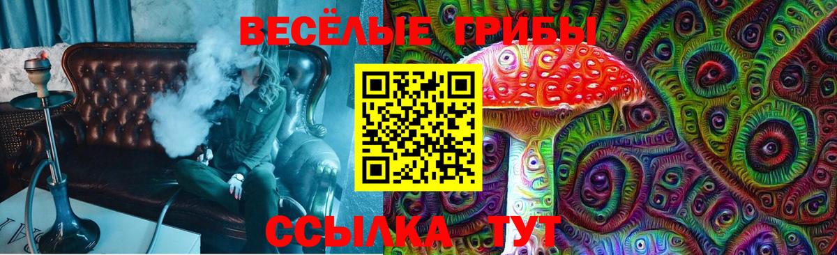 Псилоцибиновые грибы Psilocybine cubensis  Галлюциногенные грибы Psilocybine cubensis  Вход с VPN  Куйбышев 
